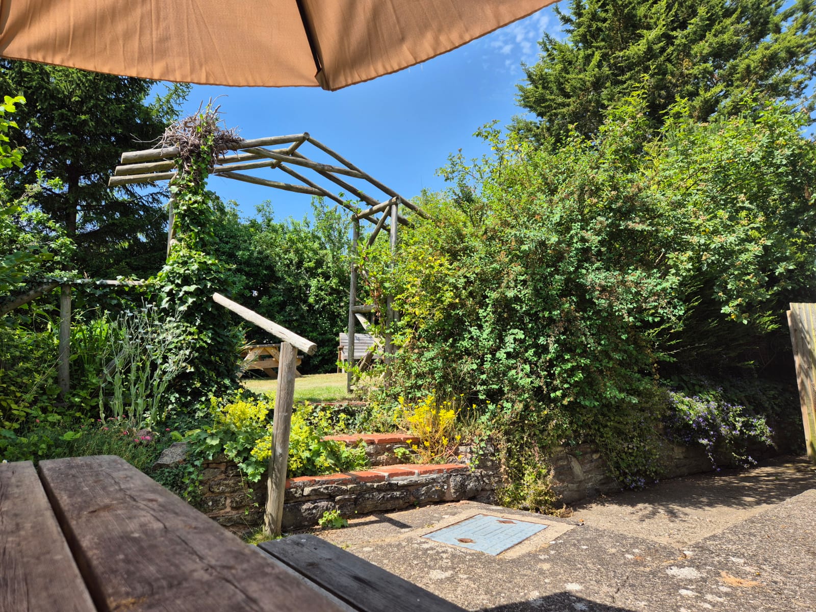 Timber pergola and planted borders beside the terrace