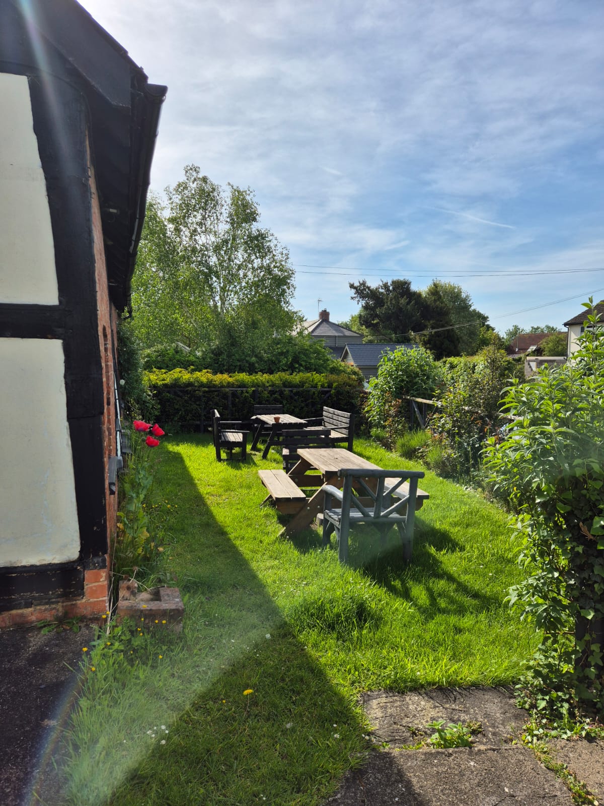 Garden seating along the timber-framed wall with poppies in flower
